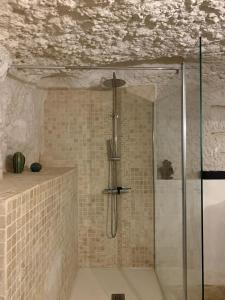 Charming troglodyte near Amboise