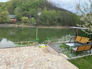 Leo Green House - 辛西斯