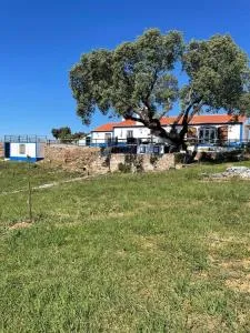 Monte do Zambujeiro - Arcos