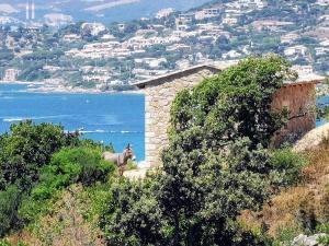 Maisons de vacances Casa PETRA, typique en pierres au coeur du maquis, 2 pers, Piscine : photos des chambres