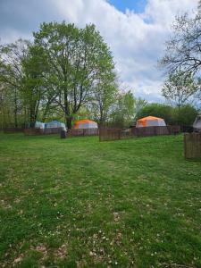 Šeberák - ubytování v chatičkách a v luxusních stanech