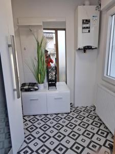 Modern Oasis Zagreb