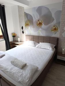 Cozy Ultracentral Apartment