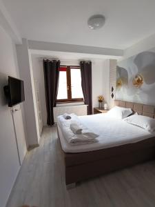 Cozy Ultracentral Apartment