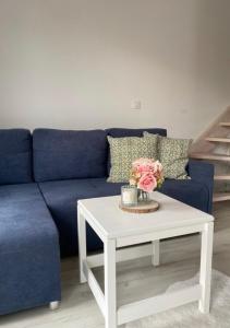 Domki na polanie, Borzestowska Huta