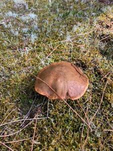 B&B / Chambres d'hotes Maison Face au Soleil : photos des chambres