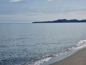 Diongard House img44