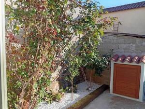 Diongard House img38