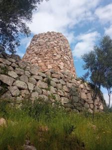 Diongard House img41