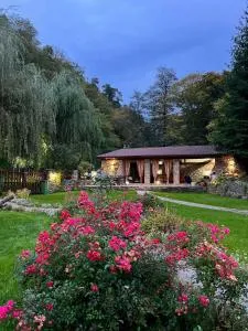 Casa de Piatra - Strungari