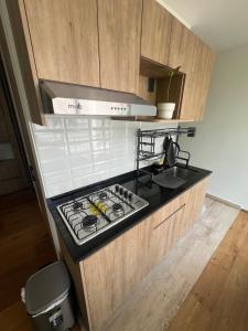 Comfortable apartment in Reforma, downtown CDMX