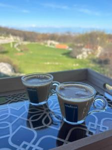 Mountain Village House