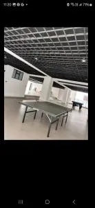 The loftel, ruaka - Gatunga