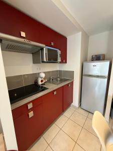 T2 Cap Agde Terrace Piscine