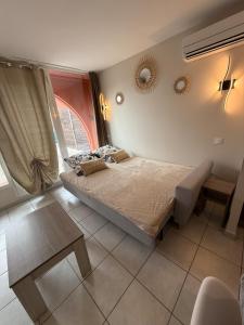 T2 Cap Agde Terrace Piscine