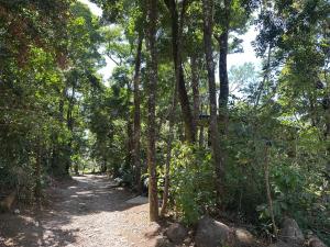 Apartamento Bosque Encantado 2