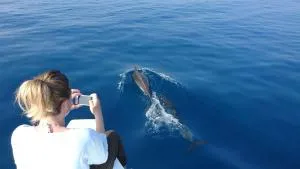 Velana Vibes at Mathiveri - 马提威力