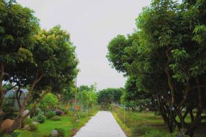 Toki Homestay - Cawn