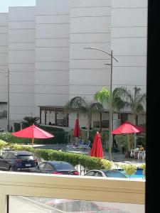 شالية فندقي غرفة ورسيبشن وحمام ومطبخ مكيف بالكامل بورتو سعيد Porto Said