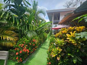 Ballena Rey Hotel