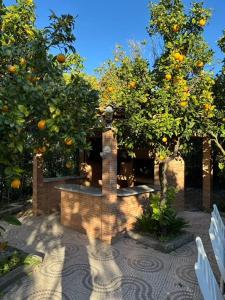 Casa das Flores Leiria Silvercoast Portugal