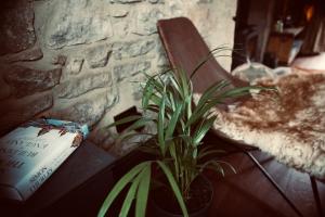 Boutique cottage in the heart of the Peak District
