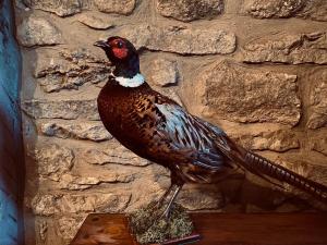 Boutique cottage in the heart of the Peak District