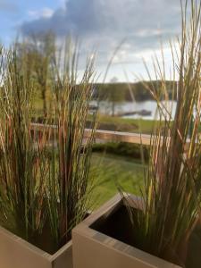 Apartment Aqua Marina - Lake, Nature and Relax!