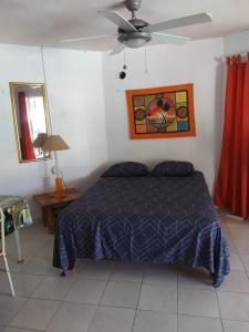 Surf & Stay Waveriders, Encuentro