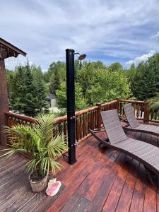 1800WM WM dream home in National Forest