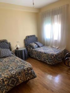 Alojamiento Rural - El Rocin