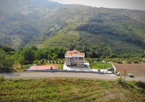 Öztürk Farm House - 阿马西亚