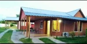 Siempre Verde - Rama Caída