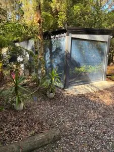 Springbrook Cabin Retreat - Upper Tallebudgera