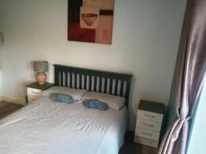 Cheap modern room - 克劳道金