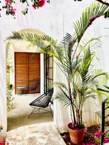 King Bed, Air Conditioning, Saltwater Pool, Fast Wifi - Gaia at Casa Calavera