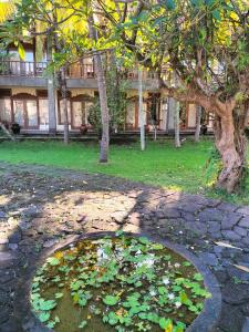 Hotel SeaSide lovina