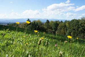 LandLoft in the Sausal wine region