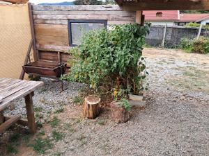 Cabaña-RIO Calle Calle