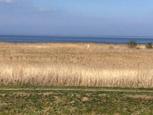 Sonniges Strandhaus mit Wasserblick am Haff mit 2 Schlafzimmern für 4 Pers