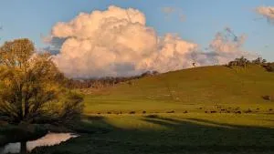 OLDGREENWELLS B&B - Nundle