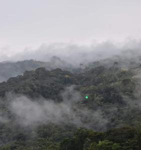 EL ALTO DE CISNEROS " para caminantes"