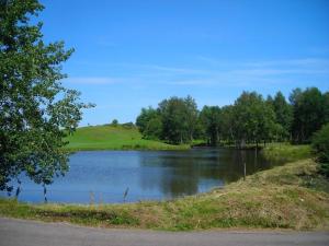 Gîte Vosges : nature, cheminée, animaux acceptés - FR-1-583-379