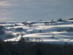 Maisons de vacances Gite Vosges : nature, cheminee, animaux acceptes - FR-1-583-379 : photos des chambres