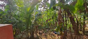 Sandesh Home Stay