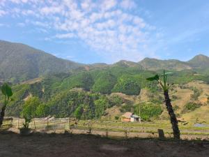 ZOZO Sapa Homestay & Trekking