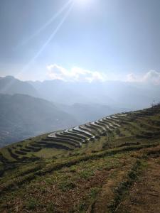 ZOZO Sapa Homestay & Trekking