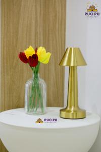 Căn Hộ Cao Cấp PucPu Apartment Huế