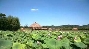 Hangzhou Lao Hang Da Boutique Hotel