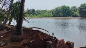 Coco Palm Eco Resort - Devgarh